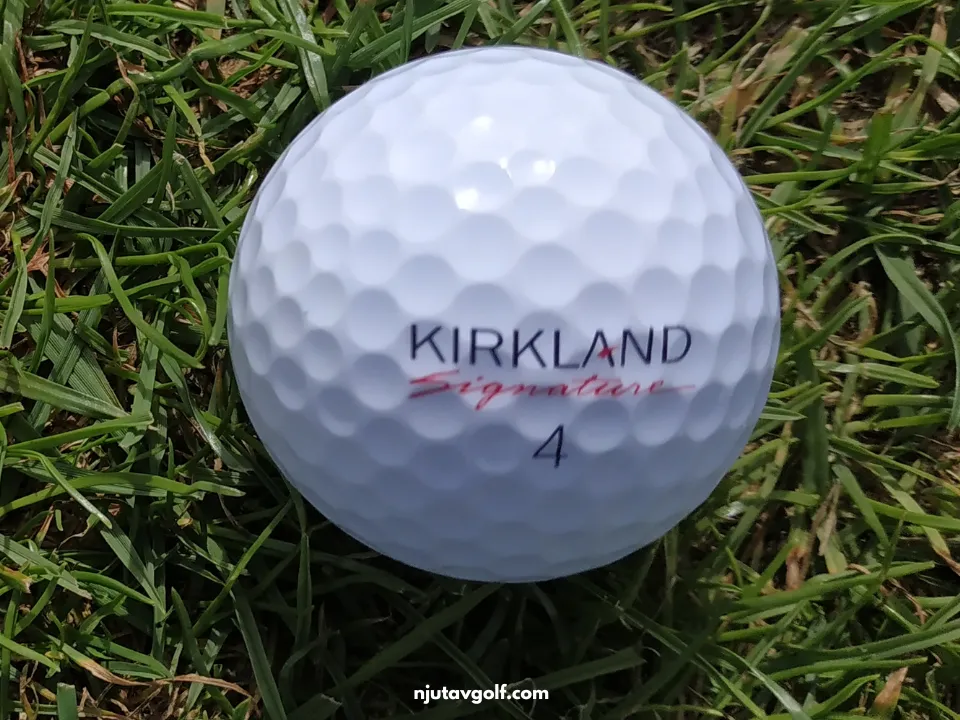 Kirkland Signature V2