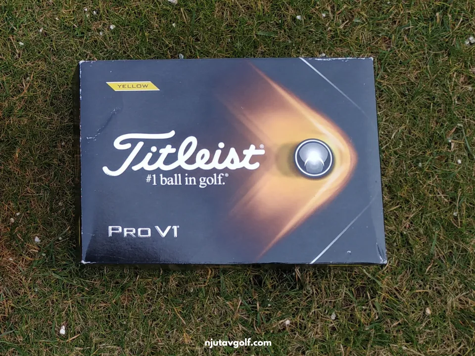 Titleist Pro V1 Dussin