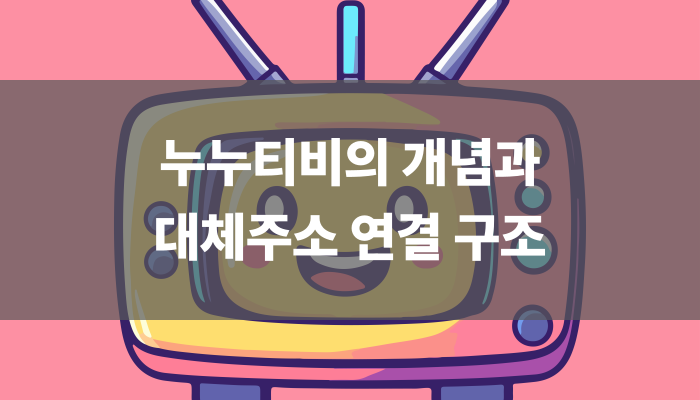 누누티비의 개념과 대체주소 연결 구조