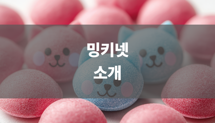 밍키넷 소개