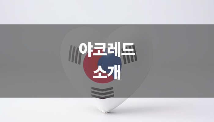 야코레드 소개