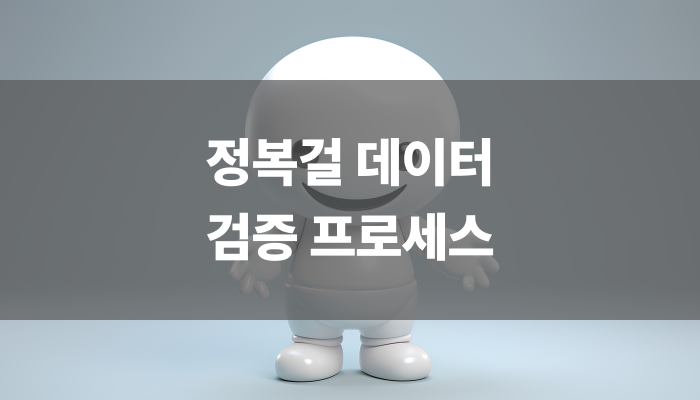 정복걸 데이터 검증 프로세스