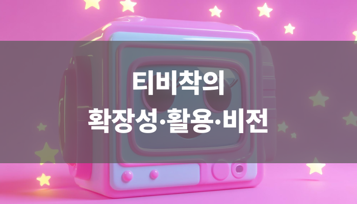 티비착의 확장성·활용·비전